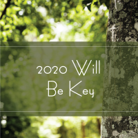 Trees Are Key 2020 Will be Key